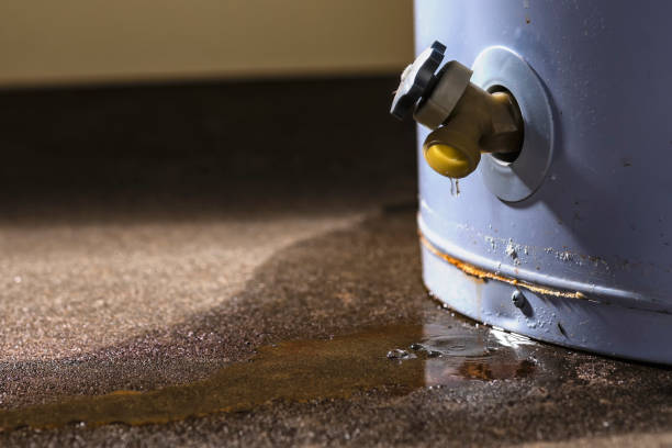 Best Water damage restoration near me  in Port Republic, NJ