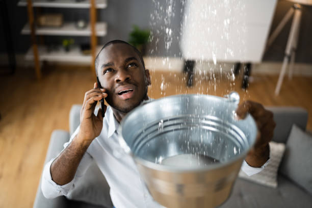 Best Basement water damage restoration  in Port Republic, NJ
