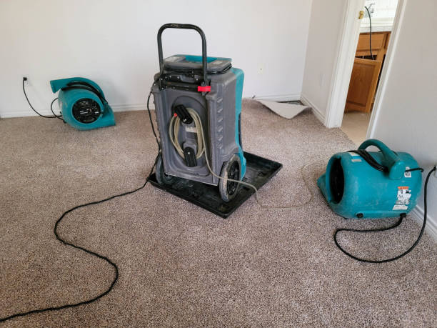 Best Fire Damage Restoration  in Port Republic, NJ