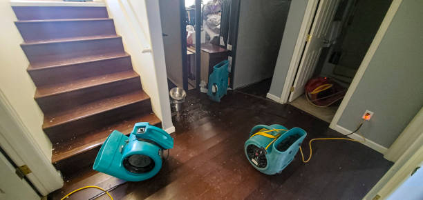 Local water damage restoration in Port Republic, NJ