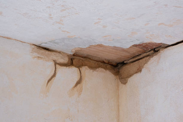 Best Flooded house restoration  in Port Republic, NJ