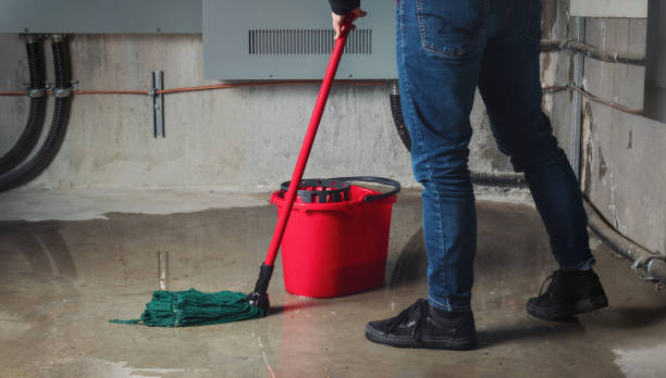 Best Sewage cleanup and water damage restoration  in Port Republic, NJ