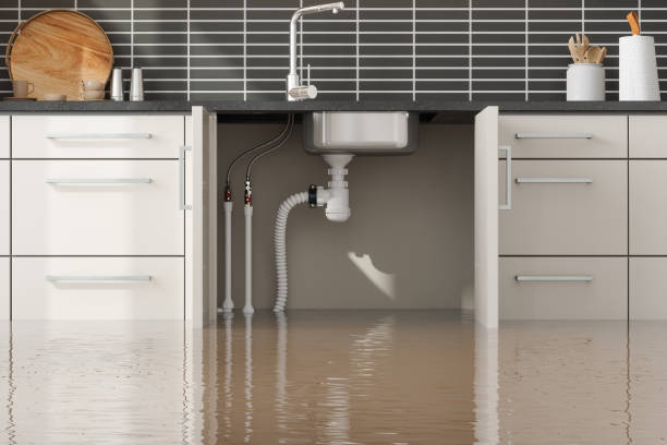 Best Mold removal after water damage  in Port Republic, NJ