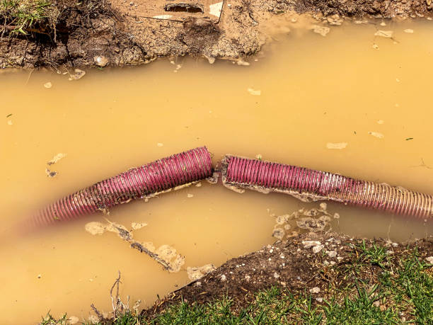  Port Republic, NJ Water damage restoration Pros
