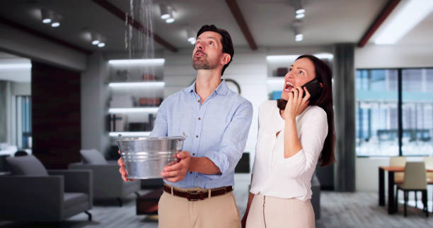 Best 24-hour water damage restoration  in Port Republic, NJ